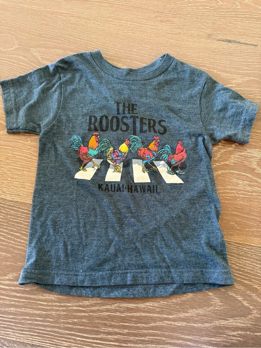Kids' The Roosters Graphic Tee - Gray